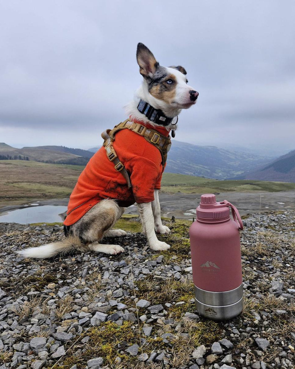 Fido's Trails 3-in-1 Water Bottle with Detachable Bowls – For Dogs & Owners, 1 Litre Rosewood