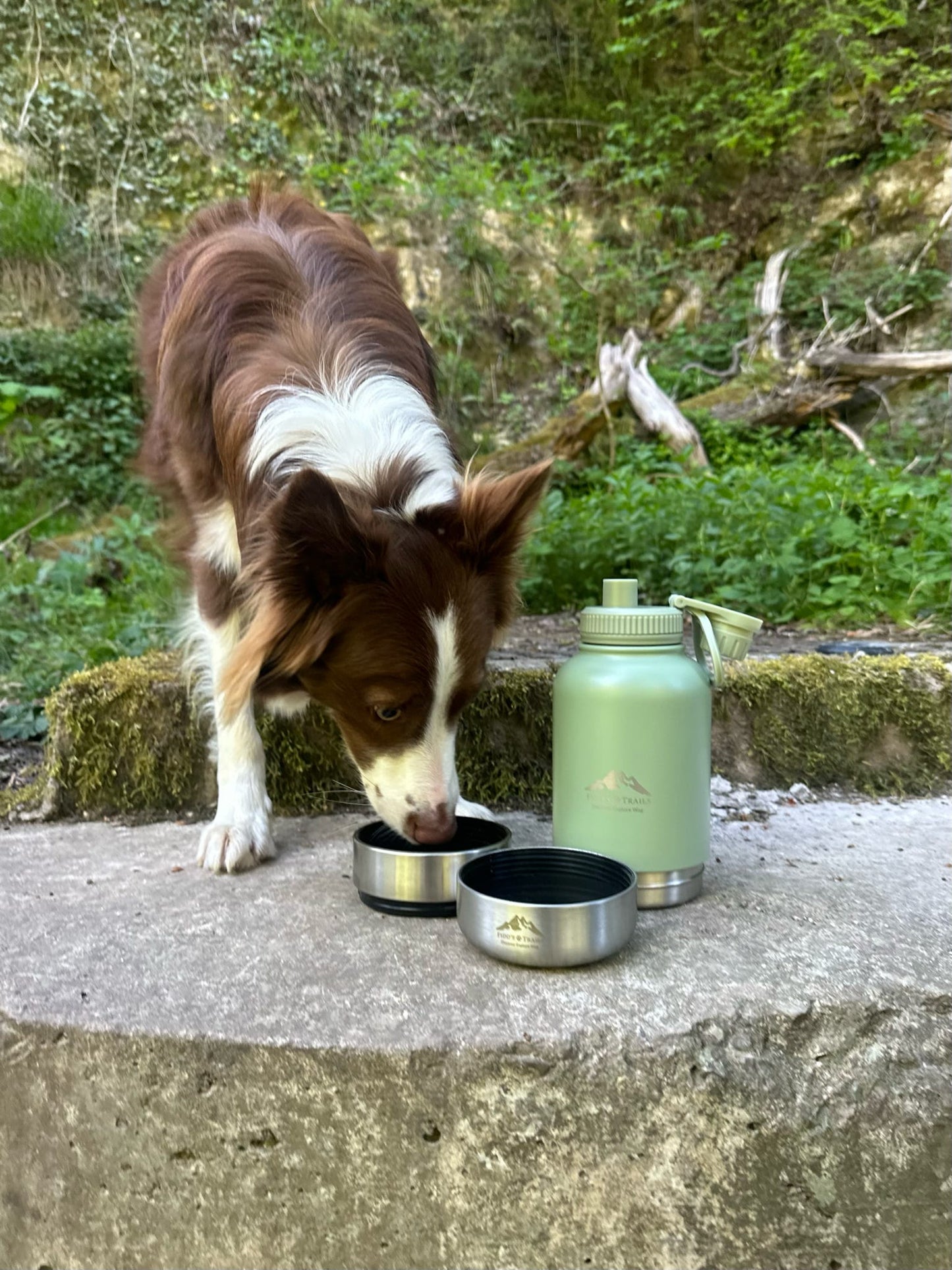 Fido's Trails 3-in-1 Water Bottle with Detachable Bowls – For Dogs & Owners, 1 Litre Sage