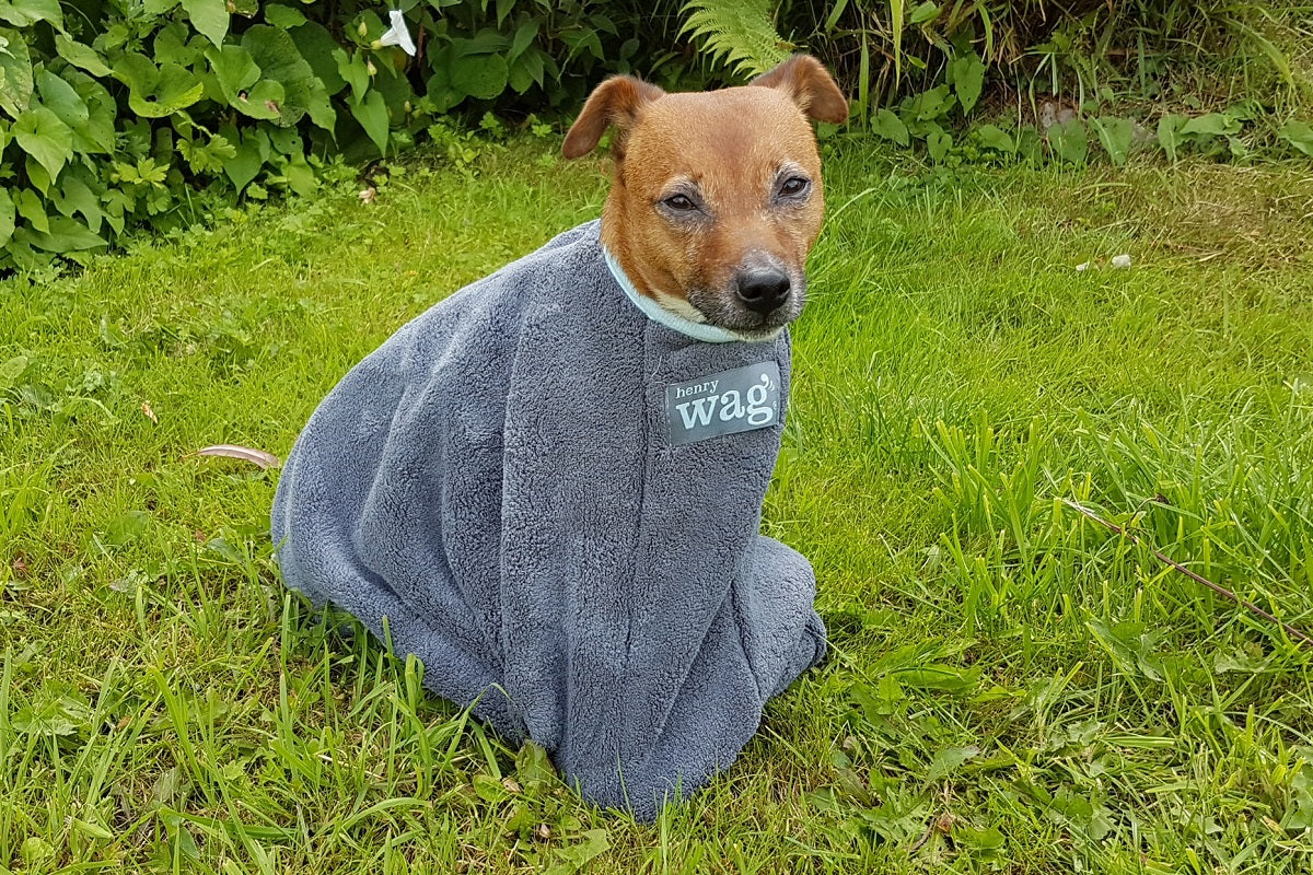 Henry Wag Microfibre Dog Drying Bag