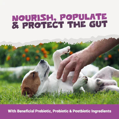 Pre, Pro & Post-Biotic Digestive Treats | 200g