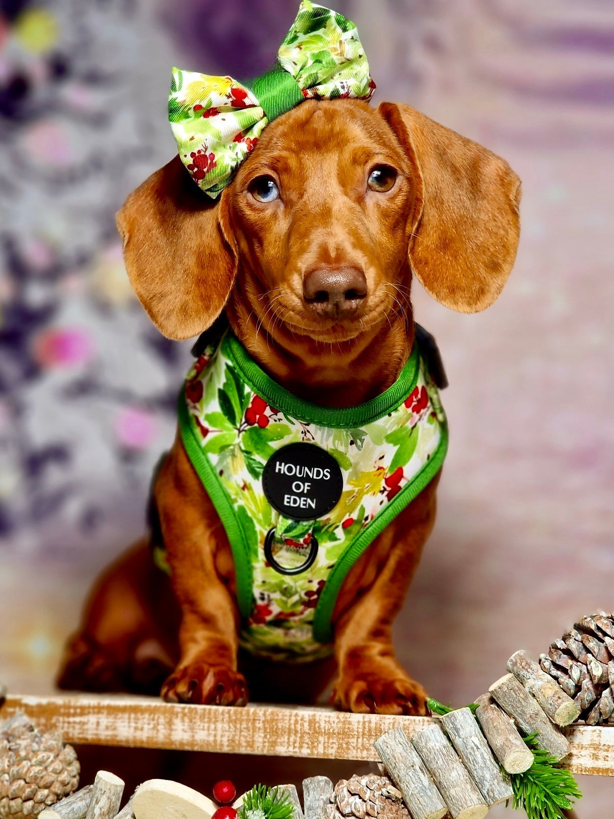 Winter Spruce & Berries Design Dog Bow Tie