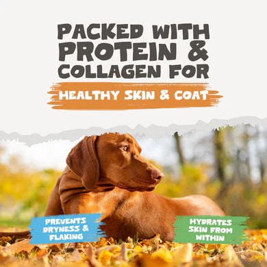 Chicken Bone Broth Powder | 250g Pack