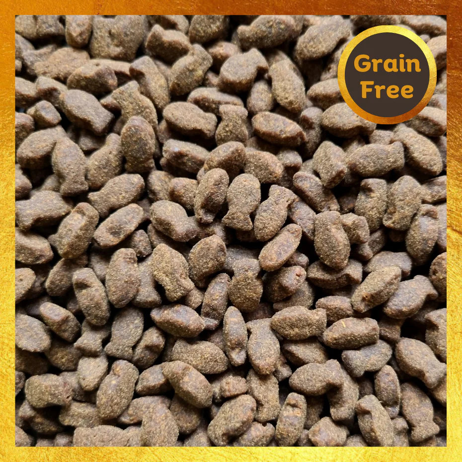 Freshly Prepared Small Bites Dog Treats – 80% Meat/Fish, Made in the UK | ProTrain™