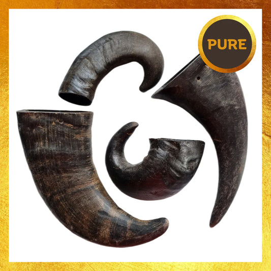 Buffalo Horns-Pure - Primal-Low Fat-Supplied Loose