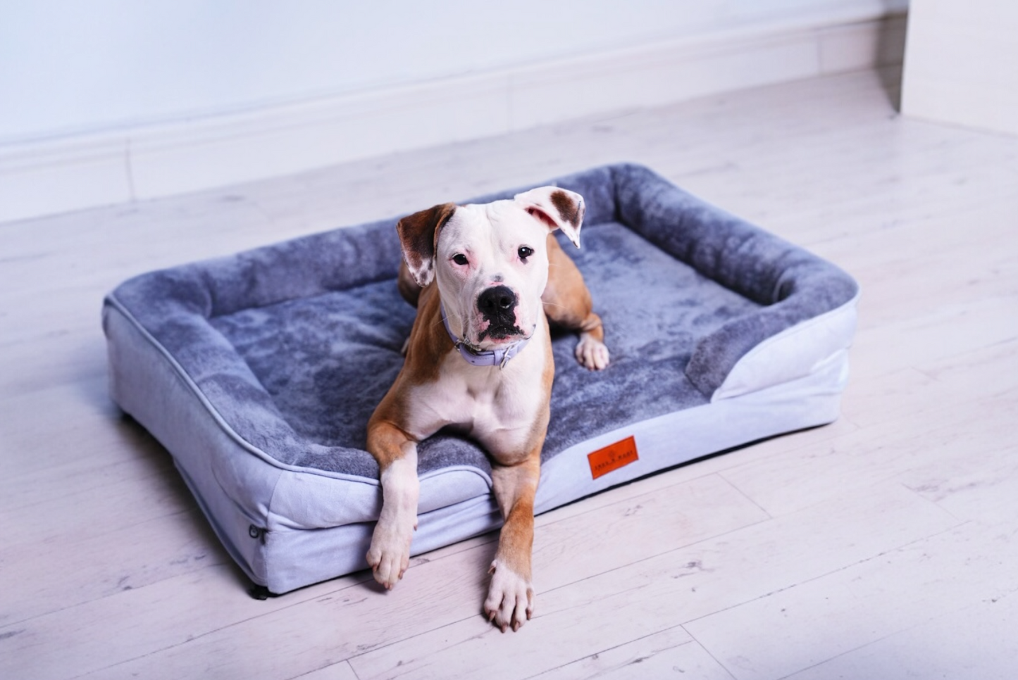 The Belgravia Orthopaedic Dog Sofa™ - Large