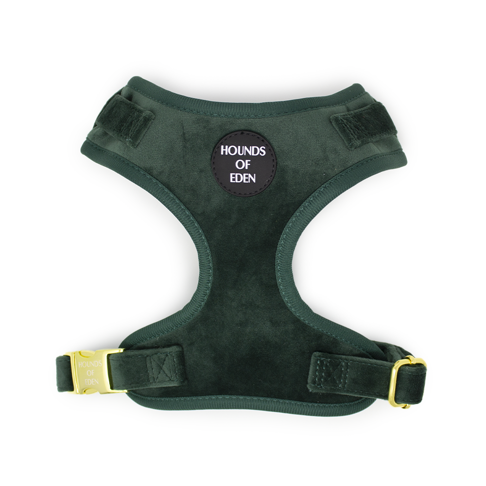 Olive Green Velvet Collar