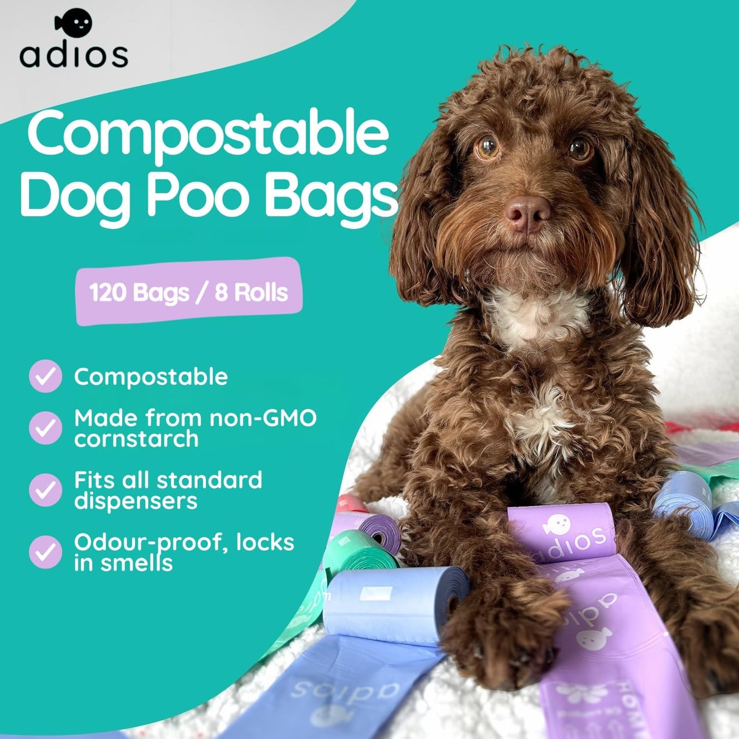 Rainbow Compostable Poo Bags, 120 Bags (8 Rolls)