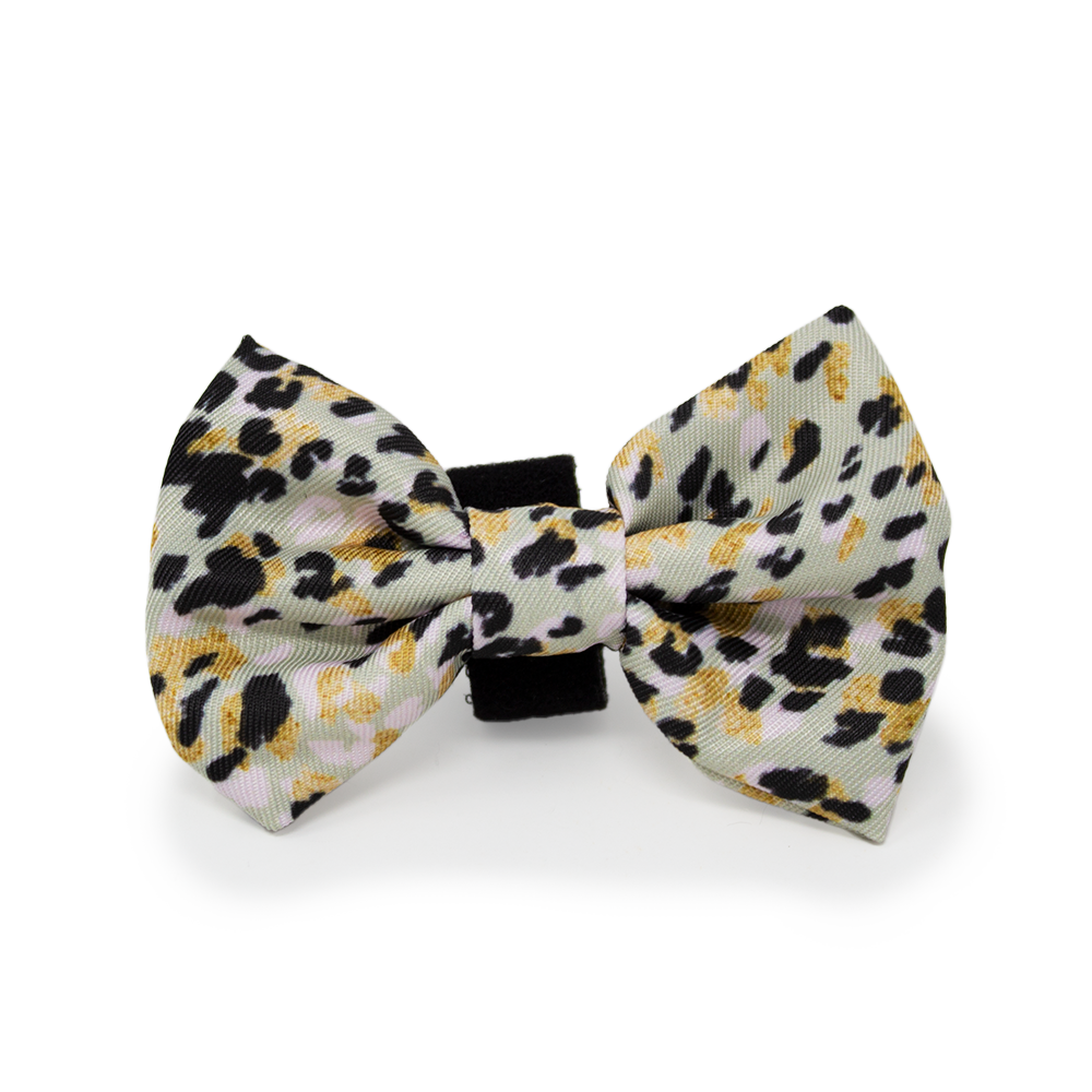 Sage Leopard Design Dog Collar