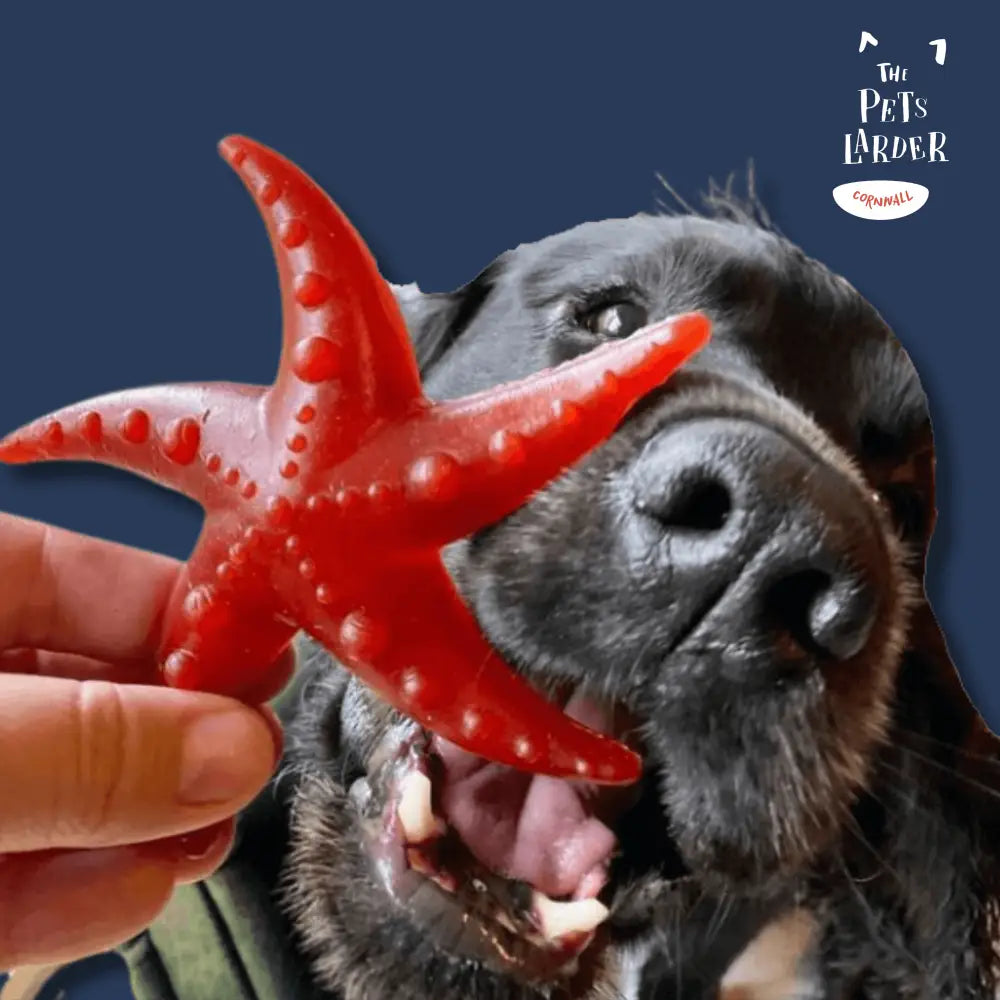Apple & Mint Starfish Chew