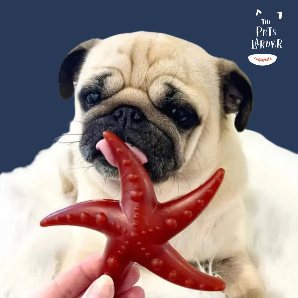 Apple & Mint Starfish Chew