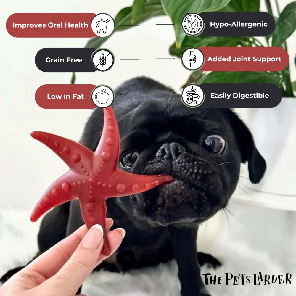 Apple & Mint Starfish Chew