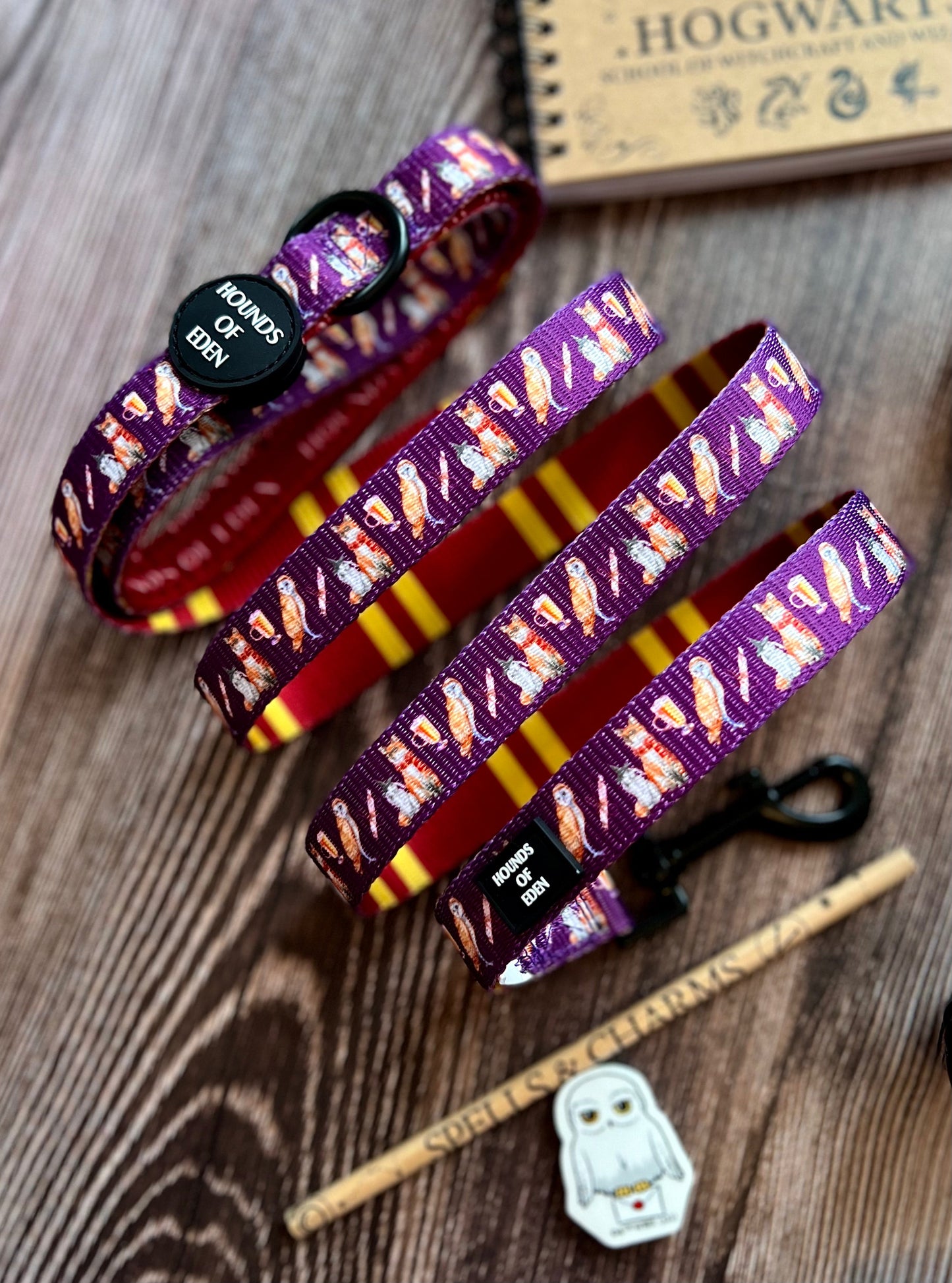 Harry Pawter Design Dog Lead