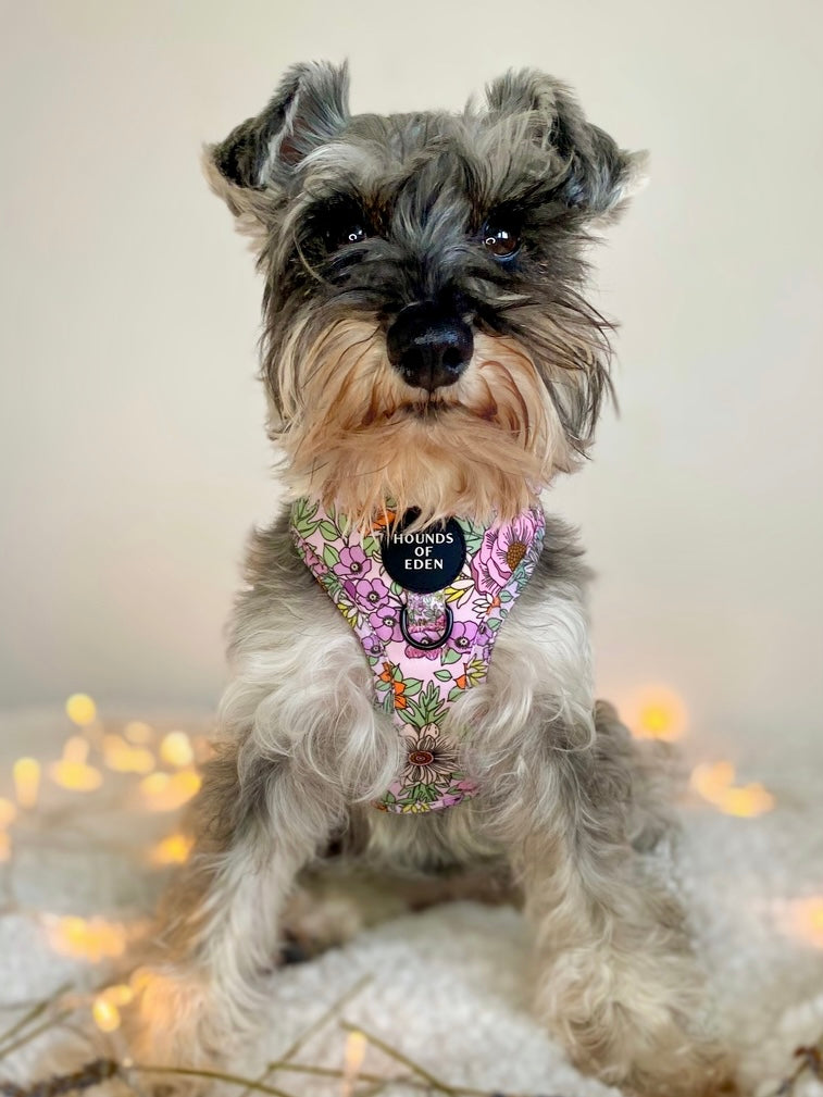 Wild Blossom - Design Dog Collar