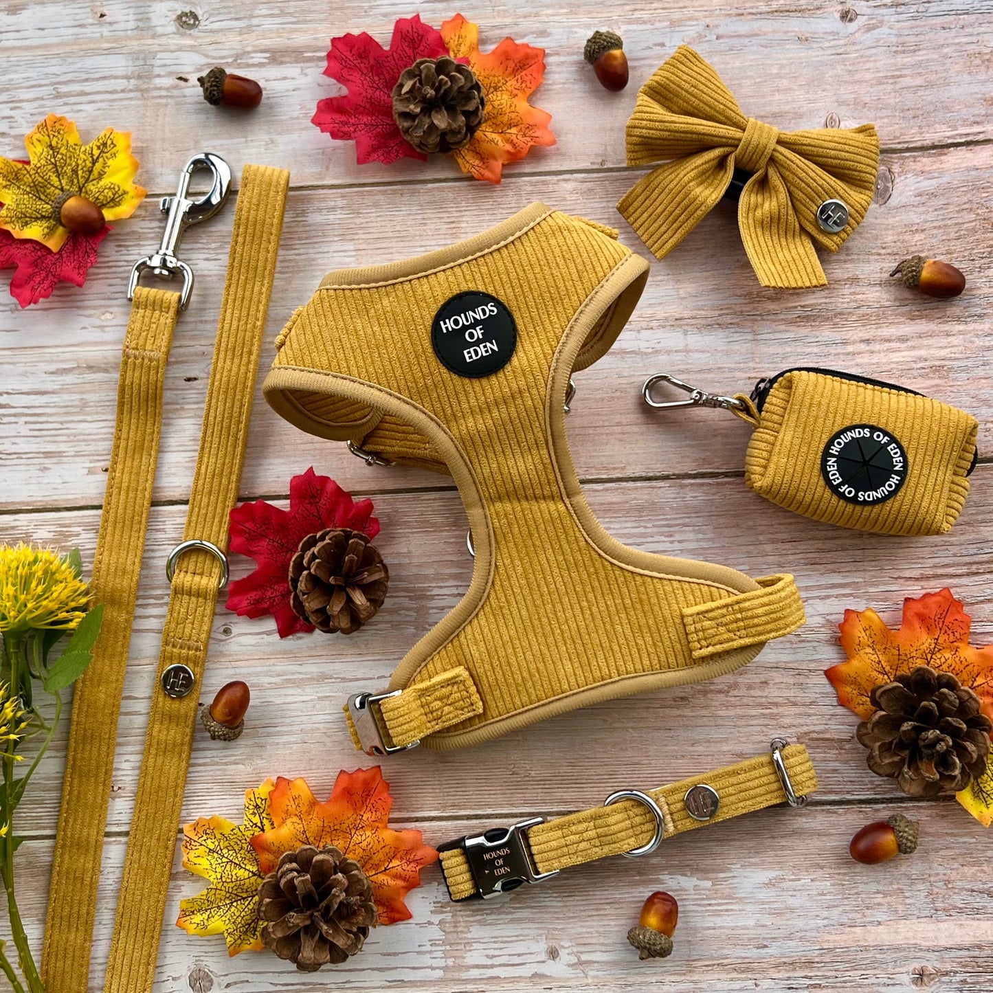 Mustard Yellow Corduroy Collar