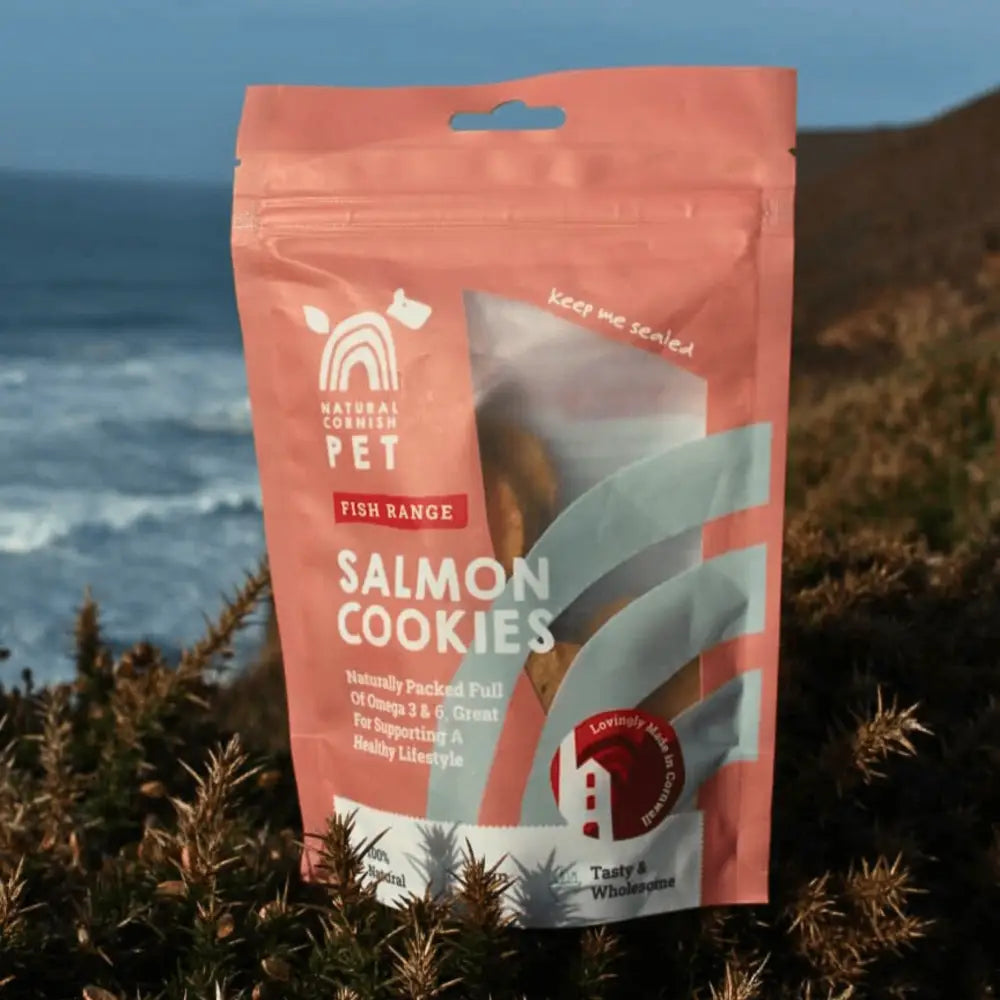 Natural Cornish Salmon & Potato Cookies Treats