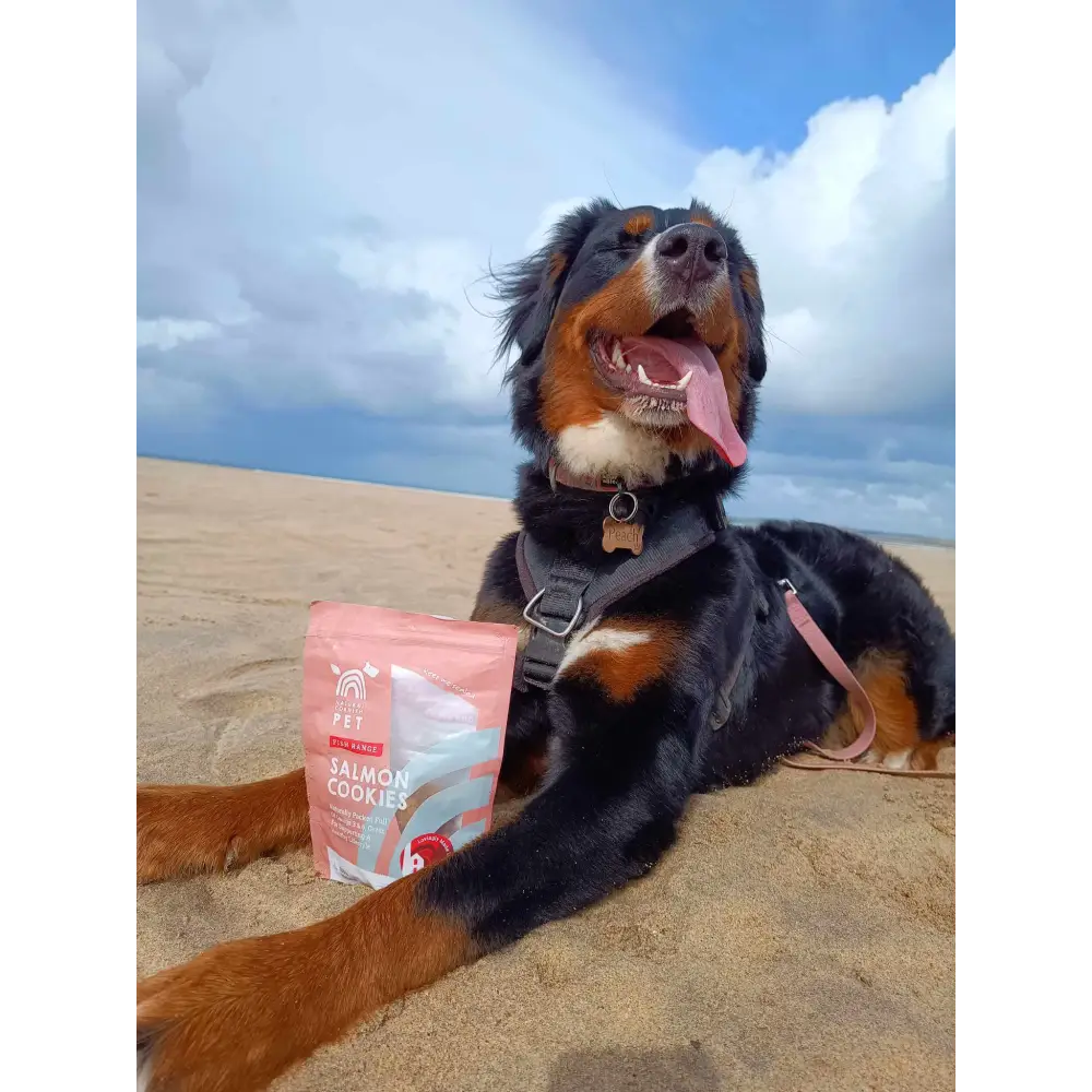 Natural Cornish Salmon & Potato Cookies Treats